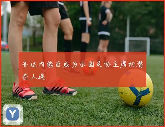 齐达内能否成为法国足协主席的潜在人选