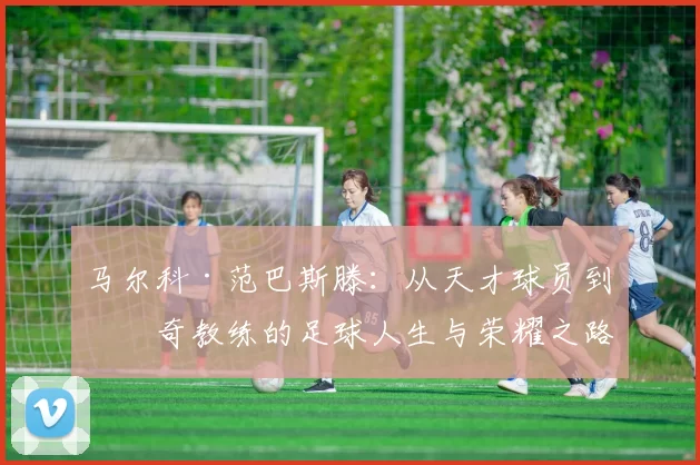 马尔科·范巴斯滕：从天才球员到传奇教练的足球人生与荣耀之路