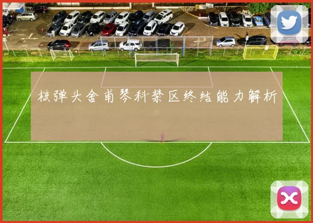 核弹头舍甫琴科禁区终结能力解析