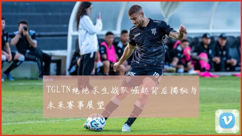 TGLTN绝地求生战队崛起背后揭秘与未来赛事展望