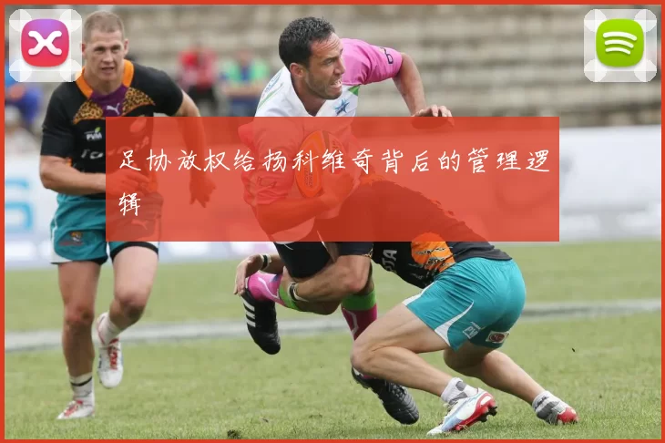 足协放权给扬科维奇背后的管理逻辑