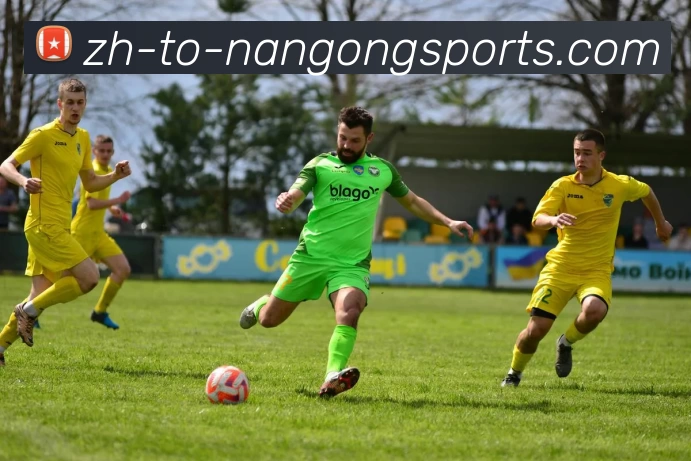 ng体育服务体系